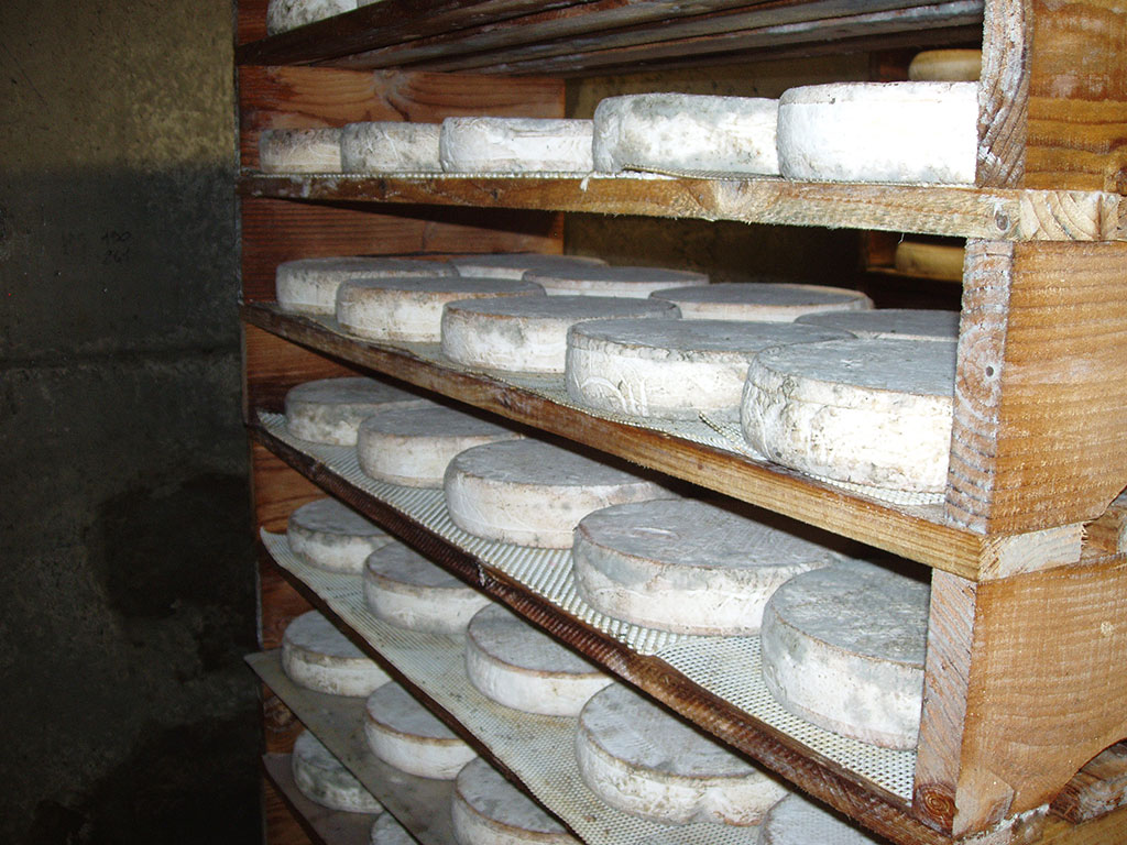 Cave à fromages garde manger en bois Roger Orfèvre